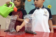IMG_4608